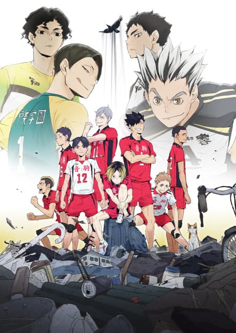 HAIKYU!! LAND VS. AIR cover art